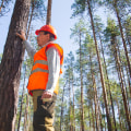 The Role of Tree Inspections in Effective Pest Control and Management