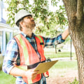 How Tree Inspection Supports Better Planning for Large Household Moves