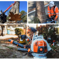 Tree Trimming in Virginia Beach, VA: How Tree Inspection Helps Maintain Healthier Trees