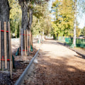 Effective Strategies to Protect Trees from Environmental Stressors Post-Inspection