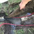The Overlooked Warning Signs Arborists Look For That May Affect Plumbing Systems