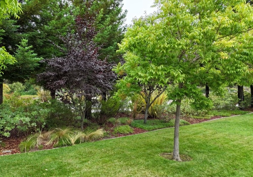 The Essential Role of Tree Inspection in Maintaining Healthy Landscapes