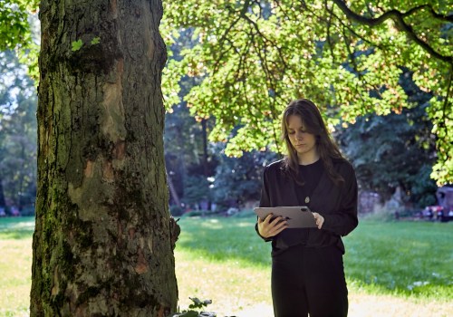 Understanding the Importance of Tree Inspections for Public Safety
