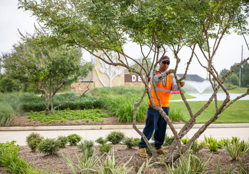 Enhance Your Landscape After Tree Inspections in Portland