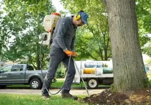 How Routine Tree Inspection Can Help Avoid Plumbing Repairs