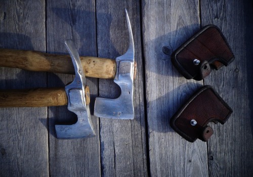 Expert Guide to Tree Inspection & Affordable Removal Tools