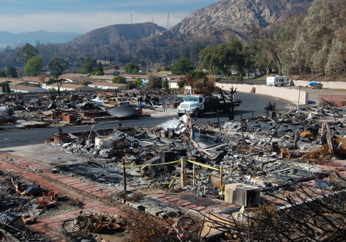 Tree Inspection & Fire Cleanup Costs in Beaverton