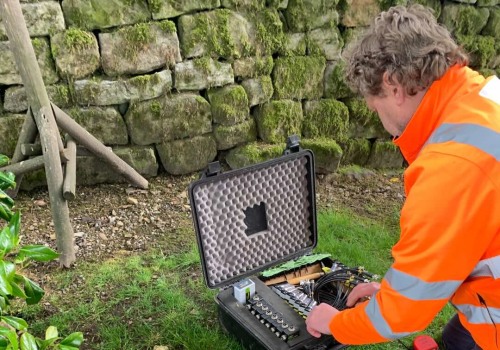 The Importance of Regular Tree Inspections for Health and Safety