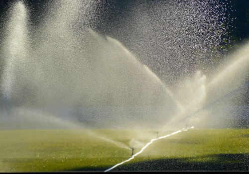 Importance of Tree Inspection and Irrigation for Loudoun County