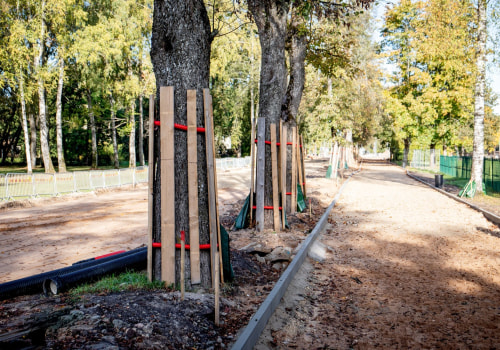 Effective Strategies to Protect Trees from Environmental Stressors Post-Inspection